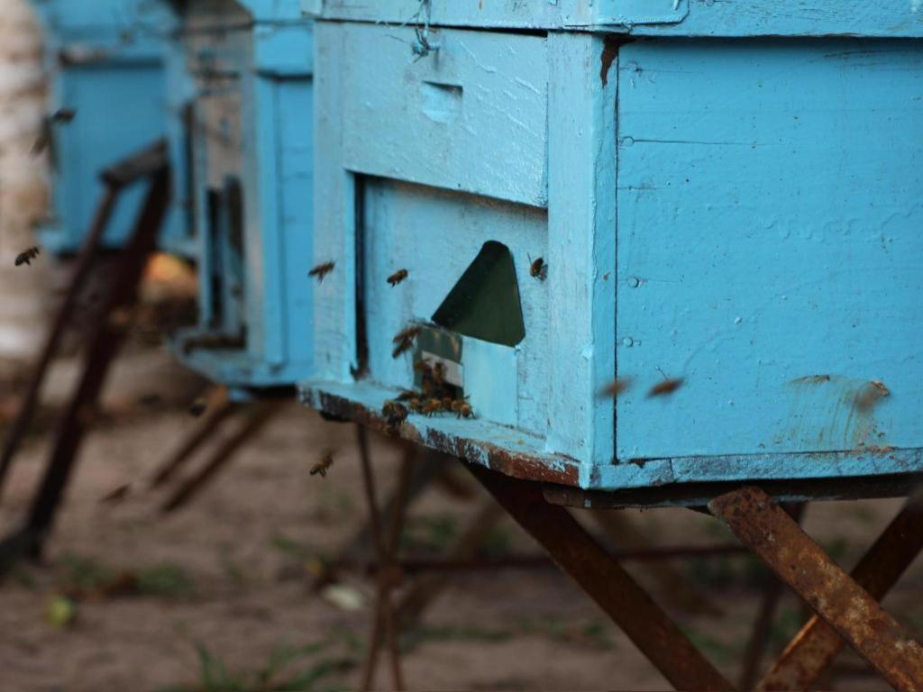 Pepper Farm Phu Quoc Bungalow ภายนอก รูปภาพ