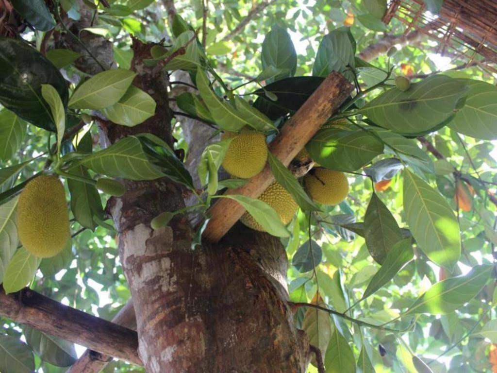 Pepper Farm Phu Quoc Bungalow ภายนอก รูปภาพ