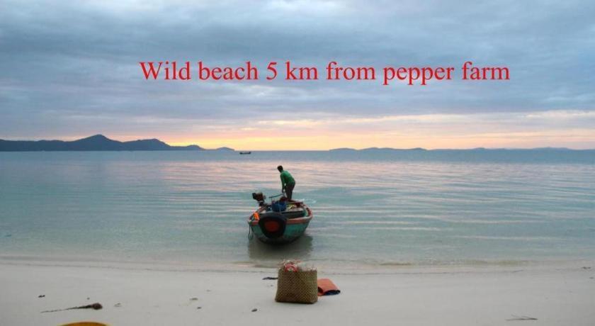 Pepper Farm Phu Quoc Bungalow ภายนอก รูปภาพ