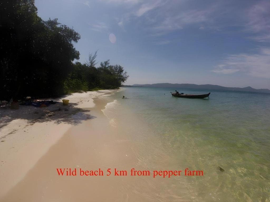 Pepper Farm Phu Quoc Bungalow ภายนอก รูปภาพ
